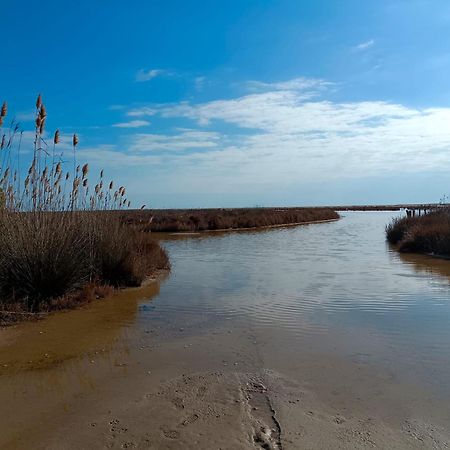 Rincon Del Delta, Apartamento En El Delta Del Ebro, Playa Trabucador Amposta, Tarragona L'Eucaliptus 외부 사진