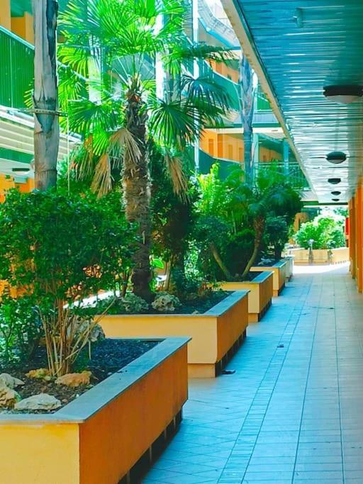 Rincon Del Delta, Apartamento En El Delta Del Ebro, Playa Trabucador Amposta, Tarragona L'Eucaliptus 외부 사진