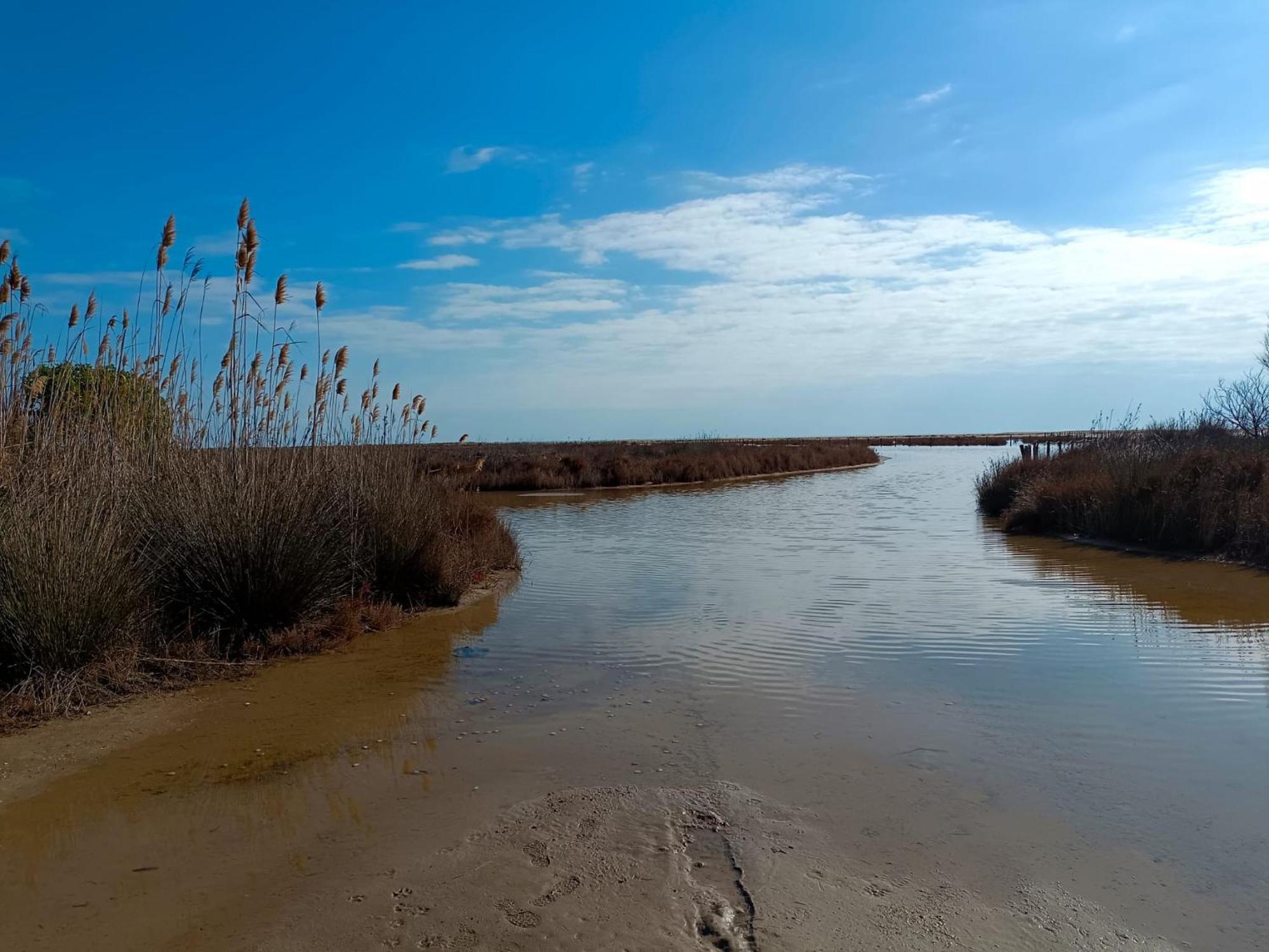 Rincon Del Delta, Apartamento En El Delta Del Ebro, Playa Trabucador Amposta, Tarragona L'Eucaliptus 외부 사진