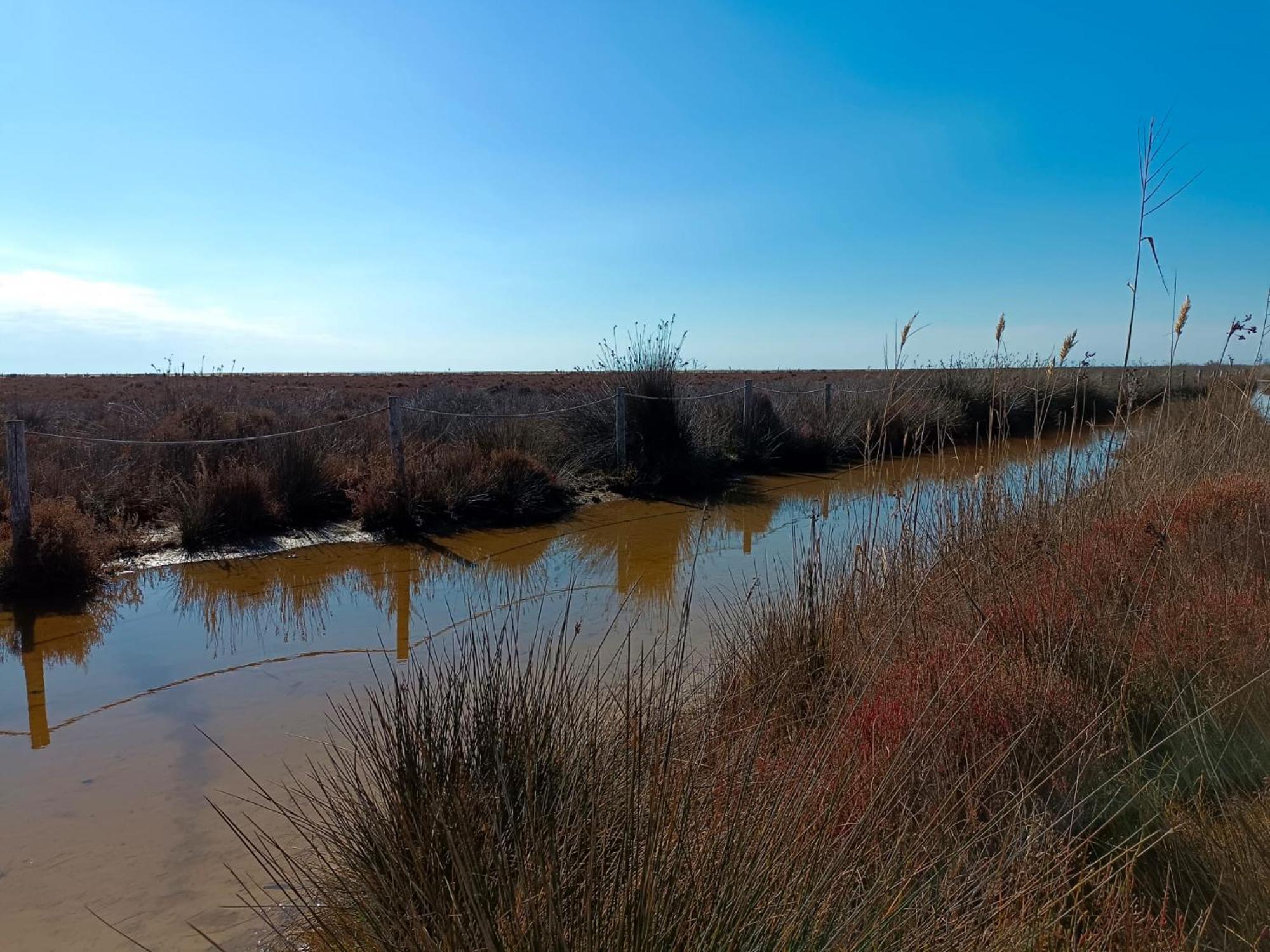 Rincon Del Delta, Apartamento En El Delta Del Ebro, Playa Trabucador Amposta, Tarragona L'Eucaliptus 객실 사진